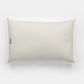 Organic Buckwheat Pillow